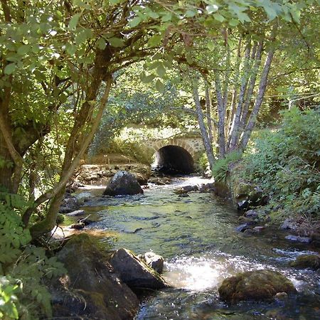Chambres D'Hotes A L'Etang D'Yonne Arleuf Exteriér fotografie